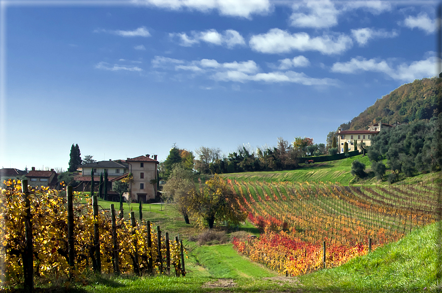 foto Colline Marosticane in Autunno